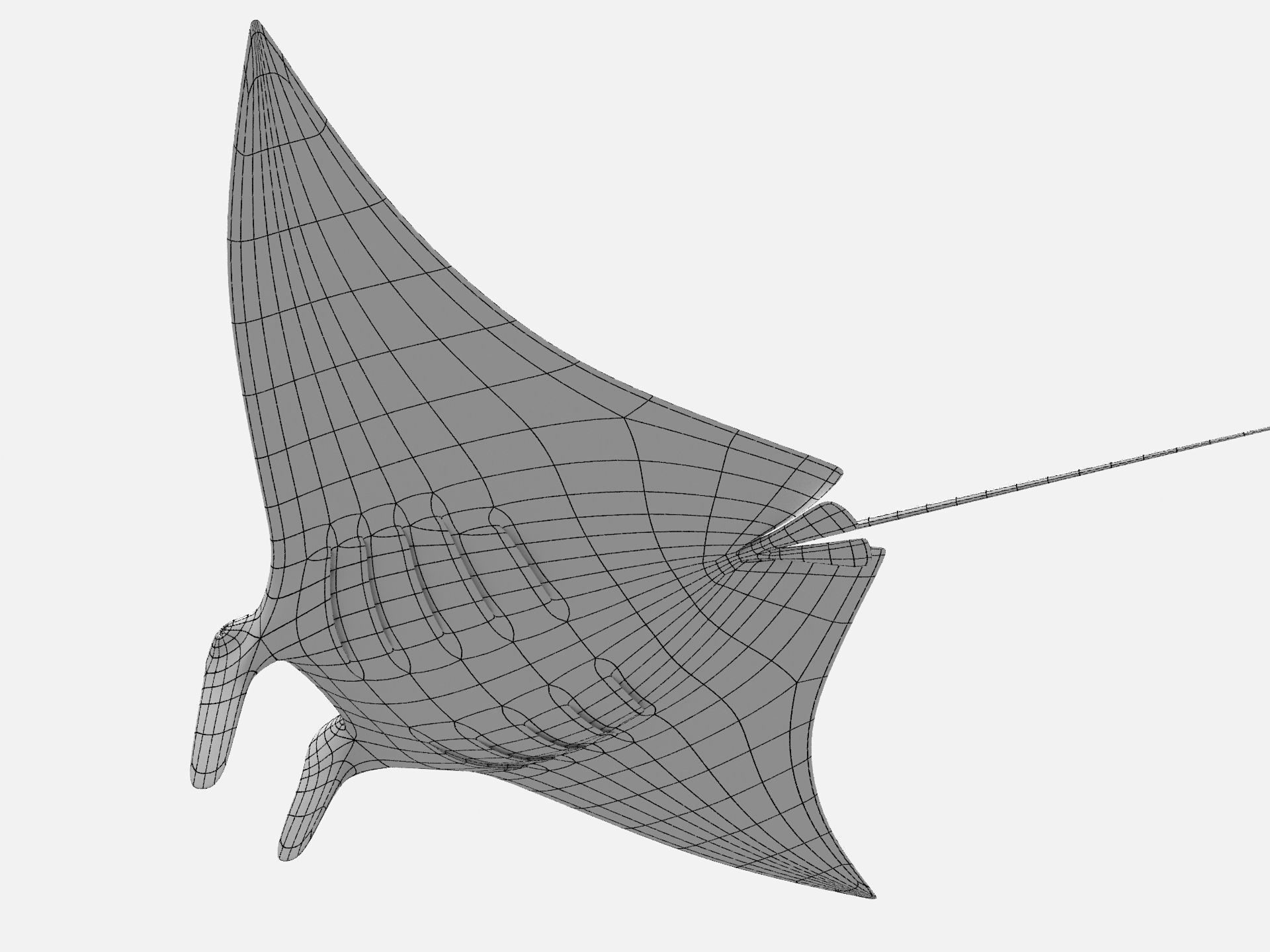 Giant oceanic manta ray Low-poly 3D model_7