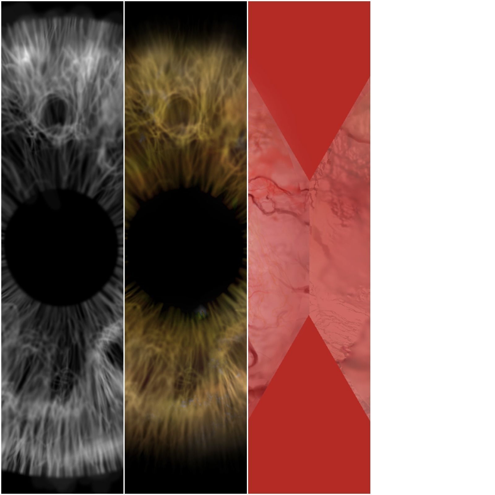 Human eyes realistic Low-poly 3D model_13