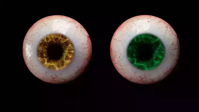 Human eyes realistic Low-poly 3D model