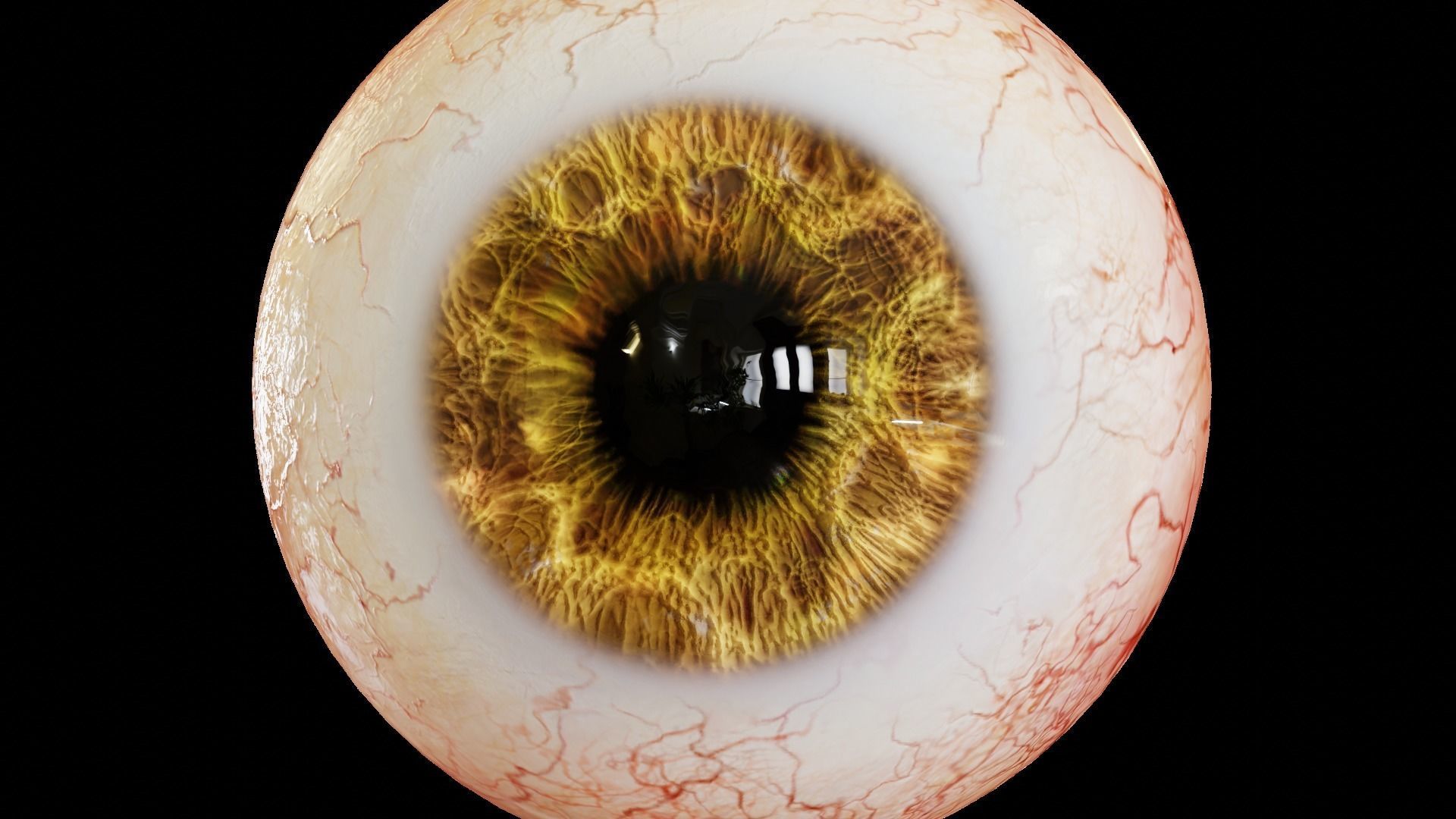 Human eyes realistic Low-poly 3D model_2