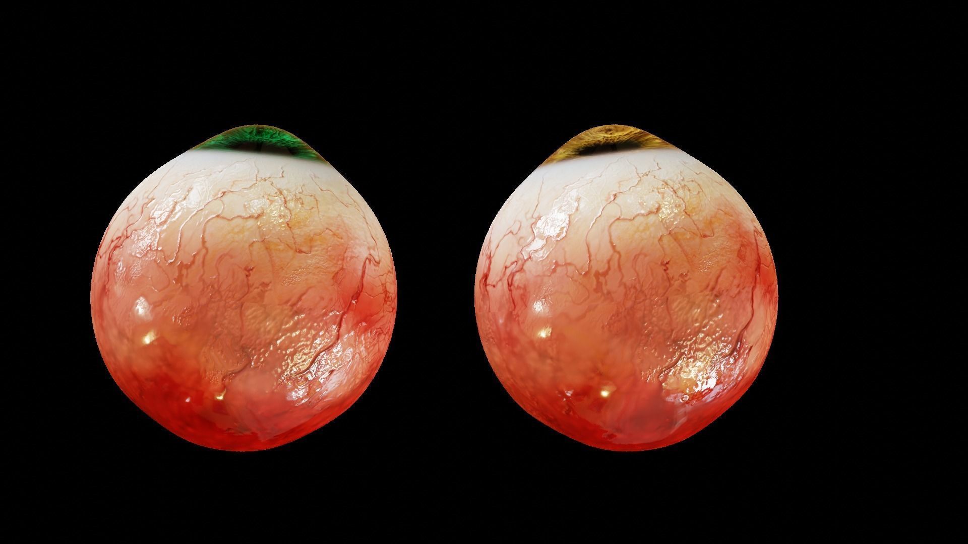 Human eyes realistic Low-poly 3D model_7