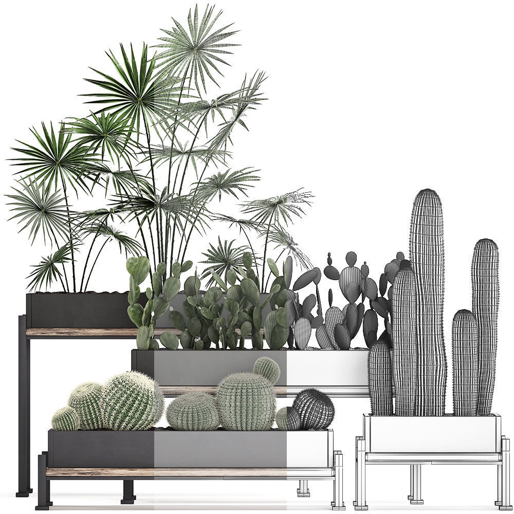 Decorative plants in flower pots for the interior 462 3D model_7