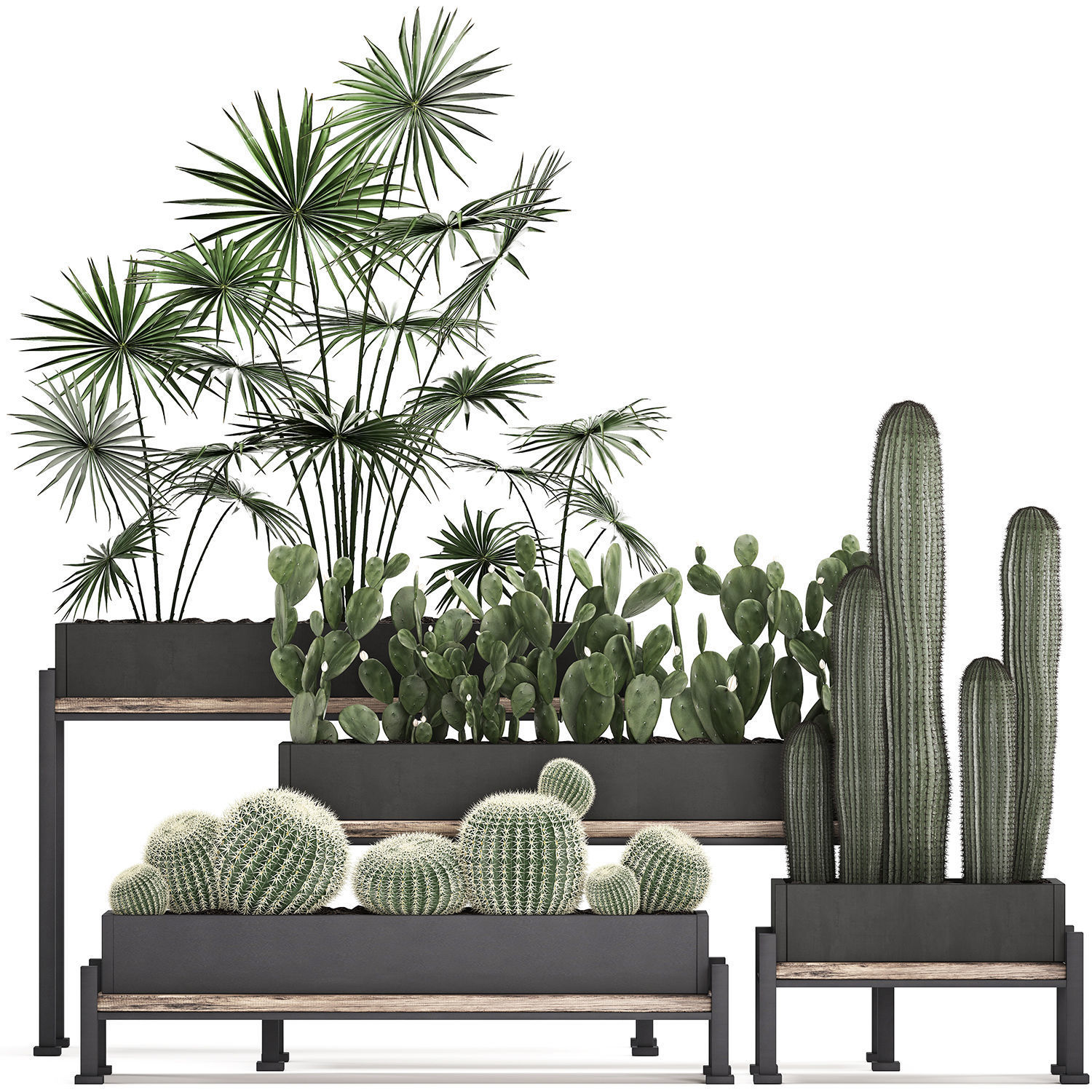 Decorative plants in flower pots for the interior 462 3D model_1