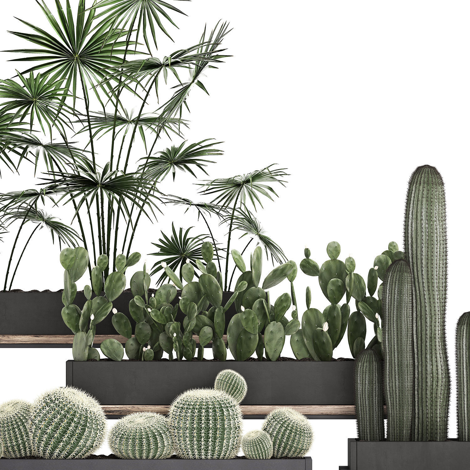Decorative plants in flower pots for the interior 462 3D model_2