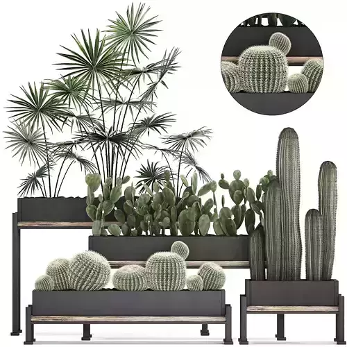 Decorative plants in flower pots for the interior 462 3D model
