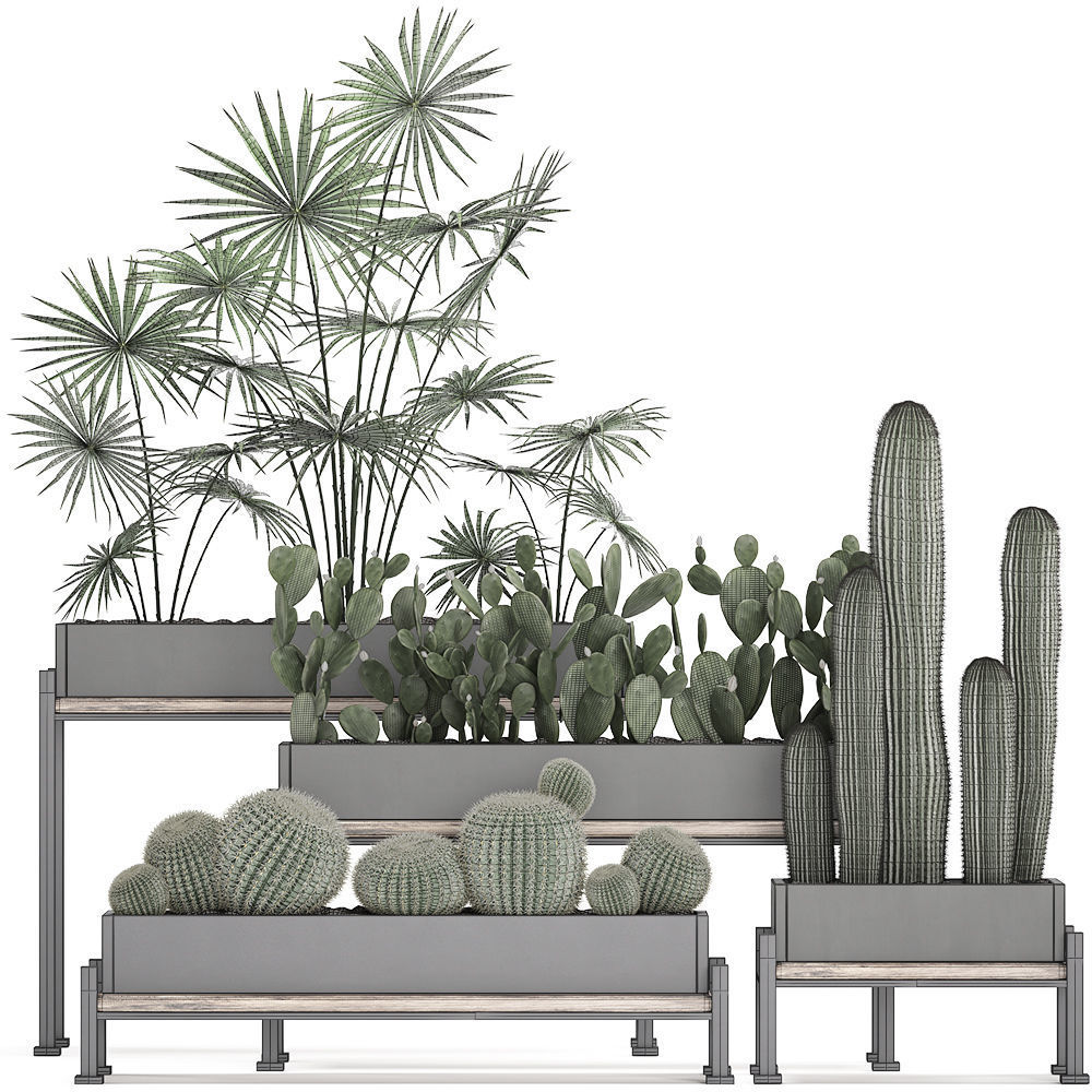 Decorative plants in flower pots for the interior 462 3D model_8