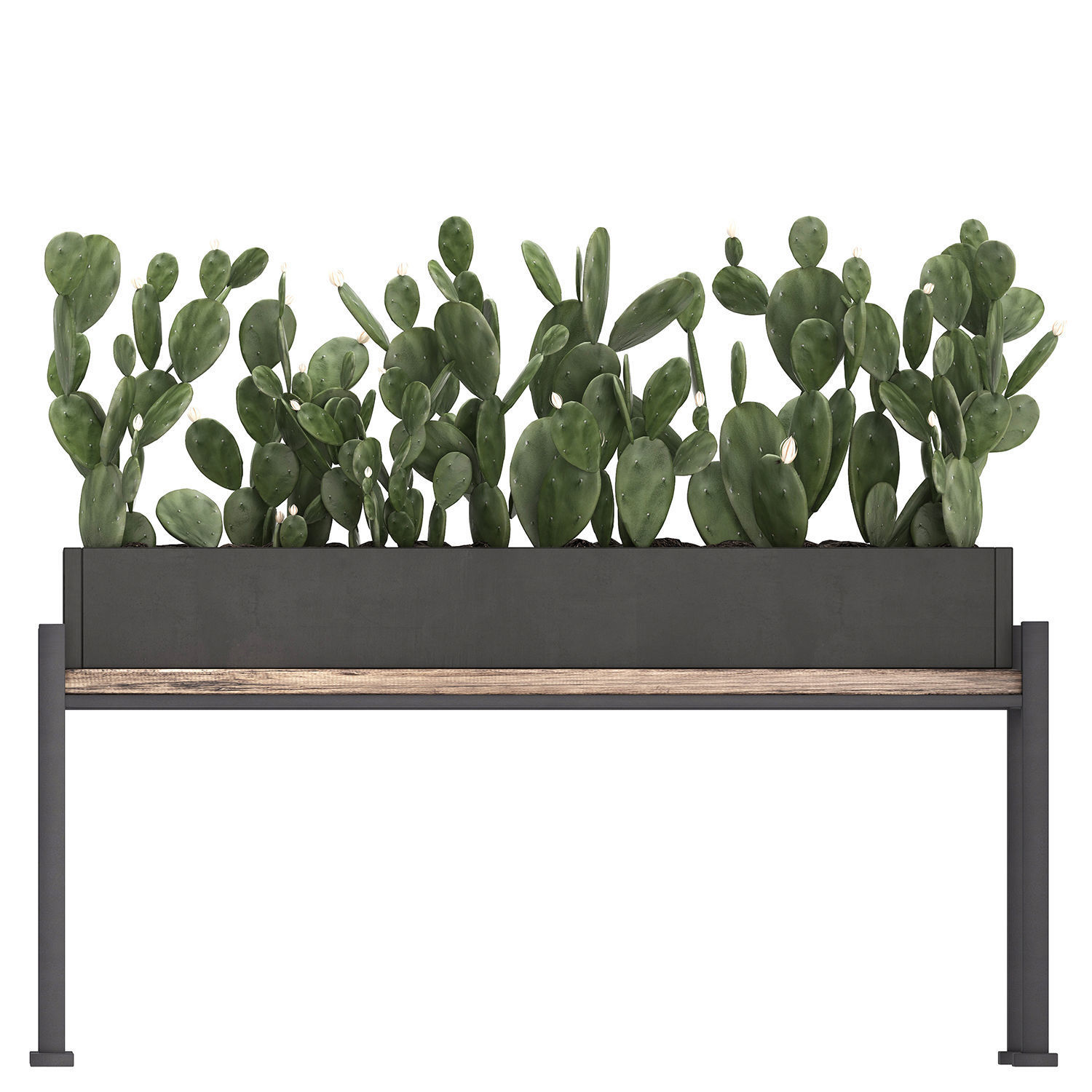 Decorative plants in flower pots for the interior 462 3D model_6