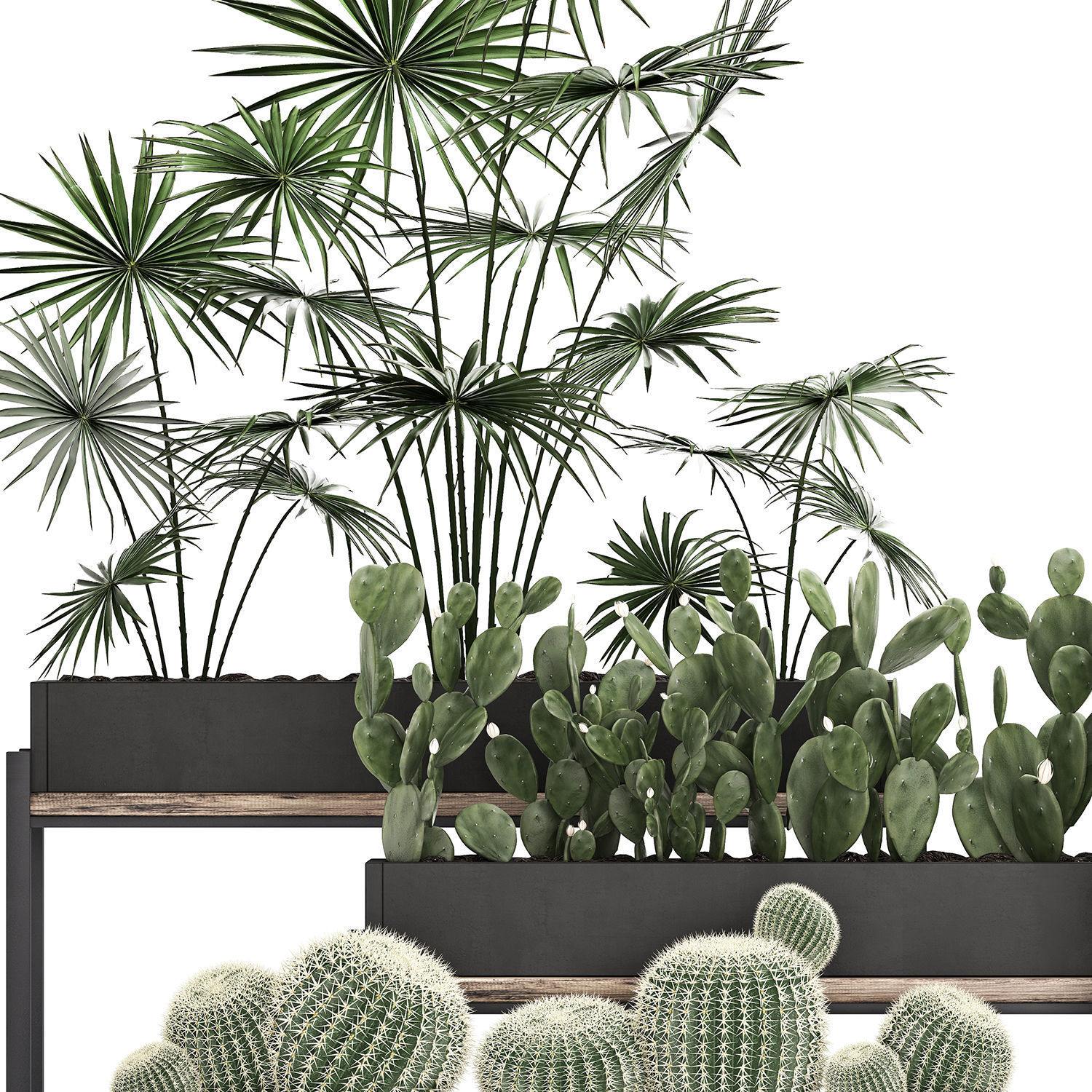 Decorative plants in flower pots for the interior 462 3D model_3