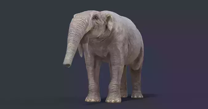 Deinotherium proavum