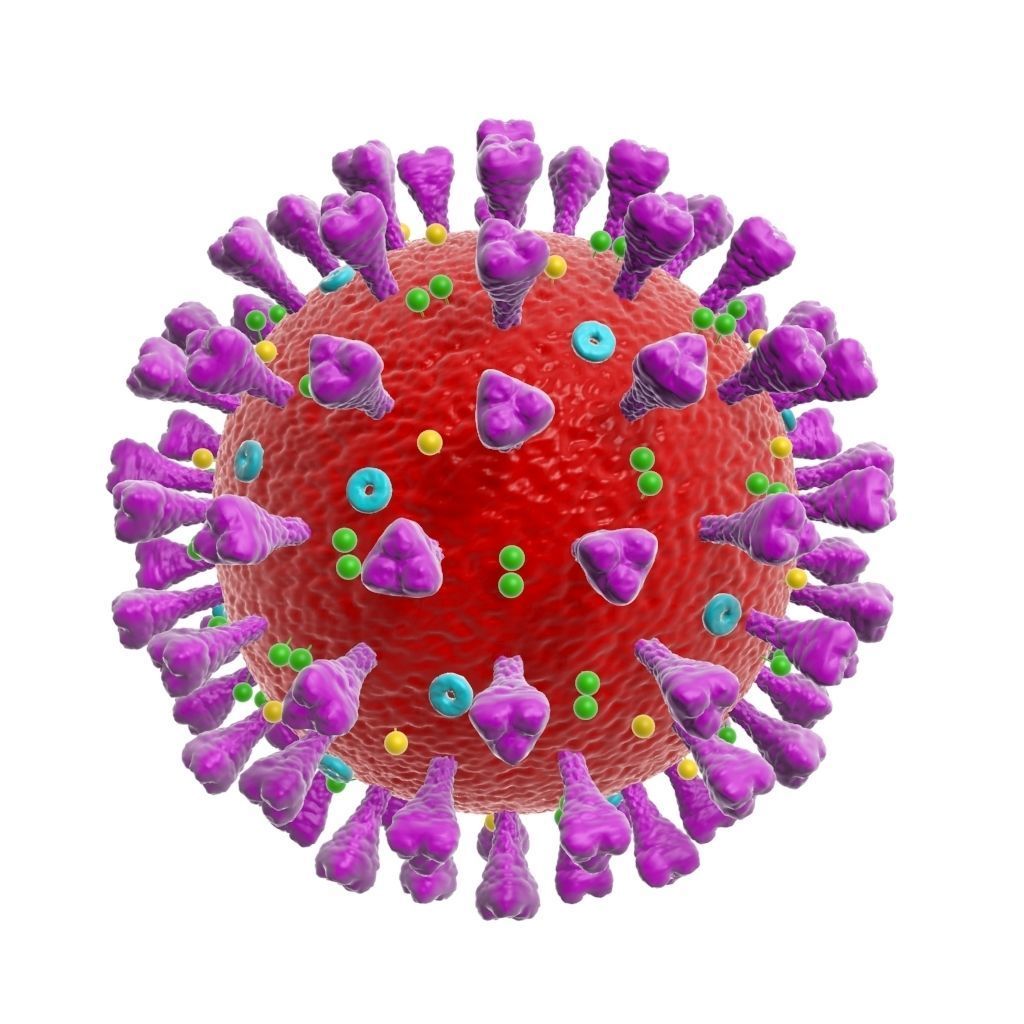 corona virus coronavirus scientific model 3D model 3D model_3