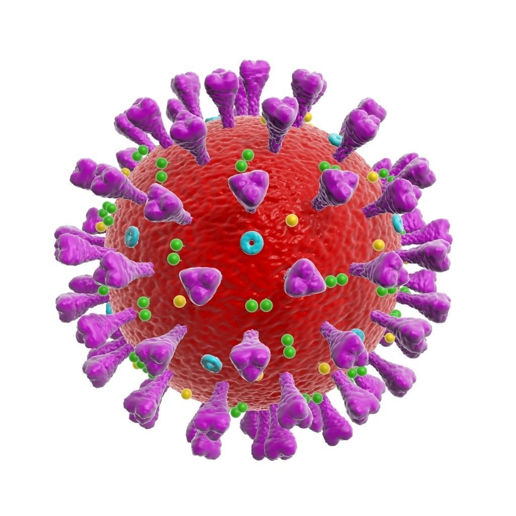 corona virus coronavirus scientific model 3D model 3D model_2