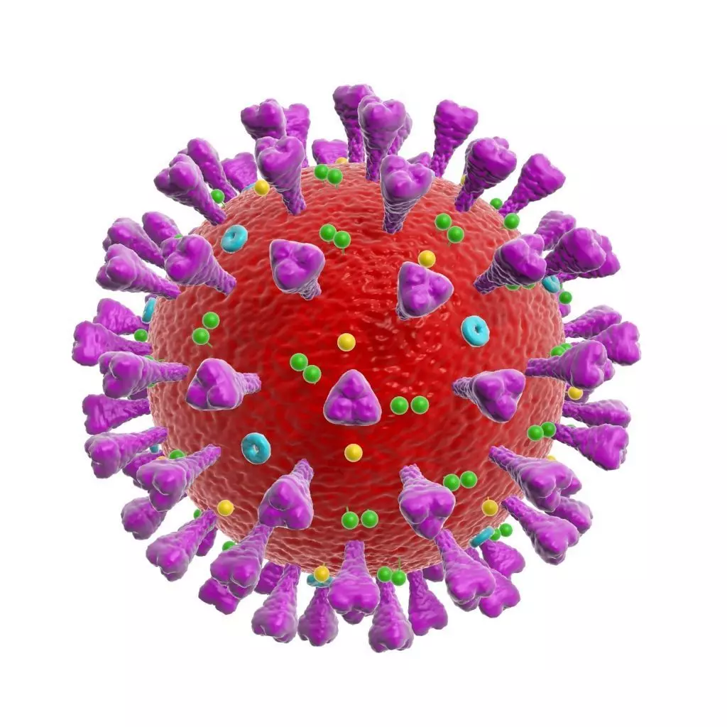 corona virus coronavirus scientific model 3D model 3D model_0