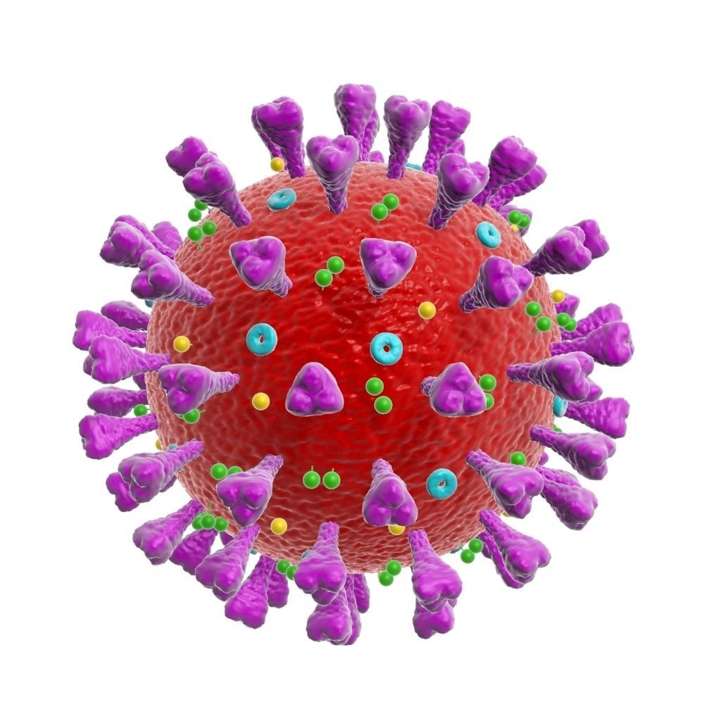 corona virus coronavirus scientific model 3D model 3D model_1