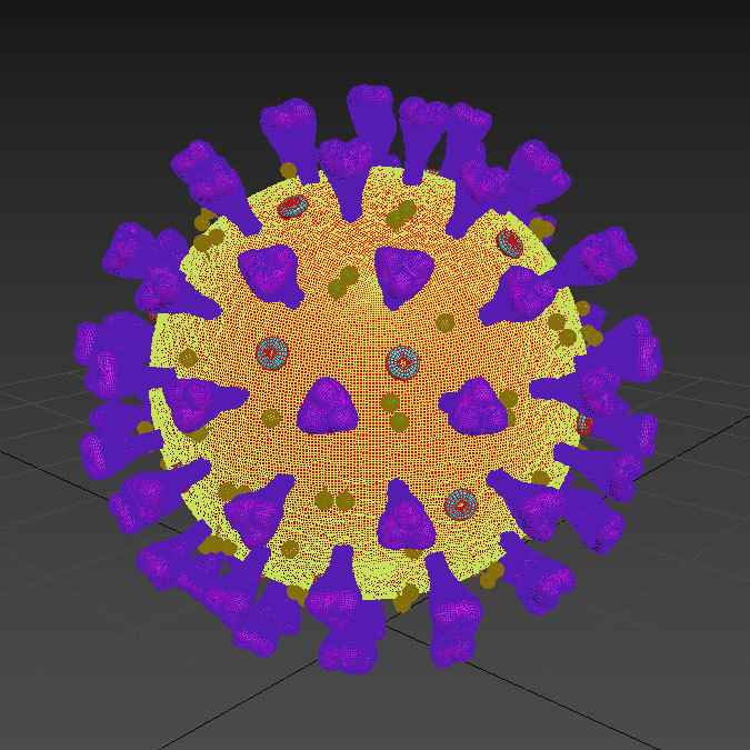 corona virus coronavirus scientific model 3D model 3D model_4