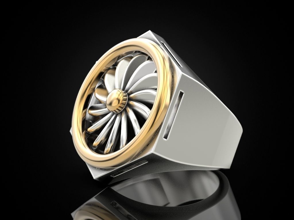 Ring turbine in nut 2 3D print model_3