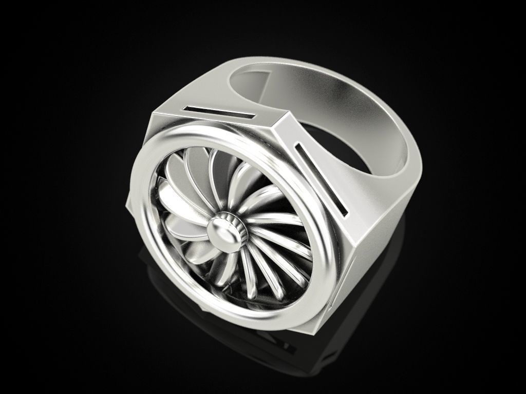 Ring turbine in nut 2 3D print model_10