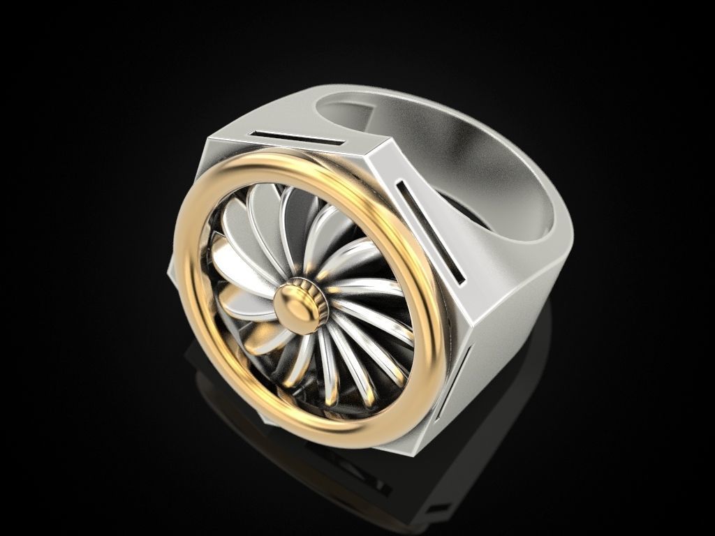 Ring turbine in nut 2 3D print model_5