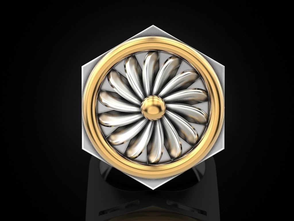 Ring turbine in nut 2 3D print model_2