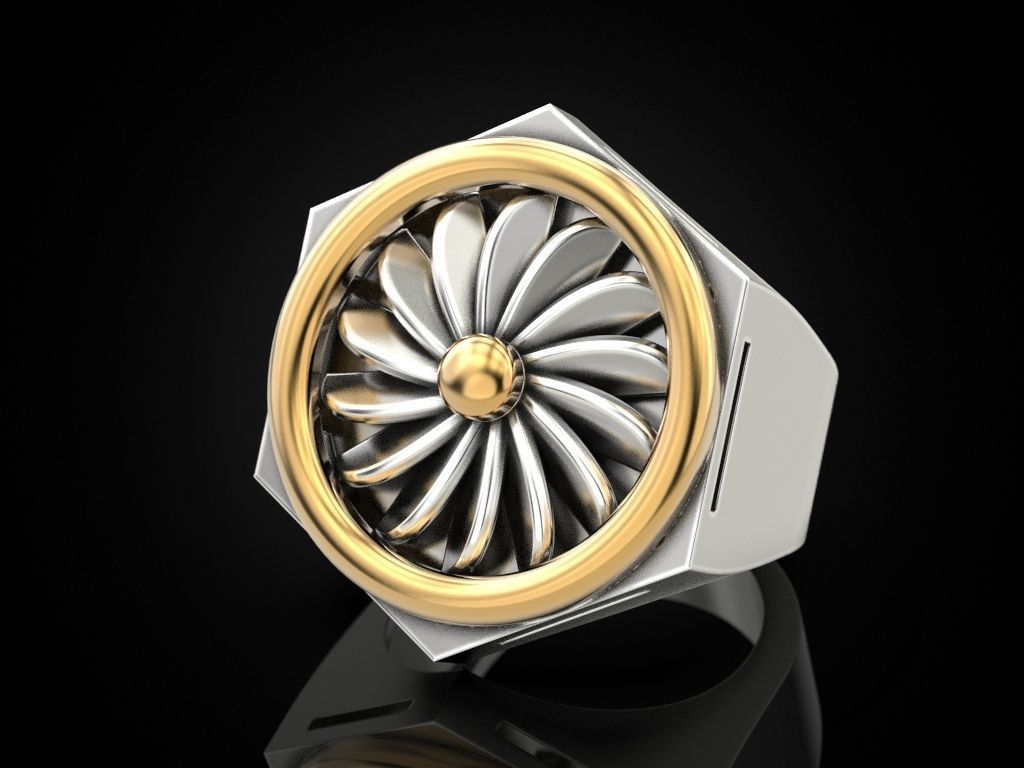 Ring turbine in nut 2 3D print model_1