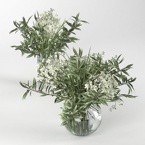 Bouquet of hydrangea olive branch and eucalyptus 3D model