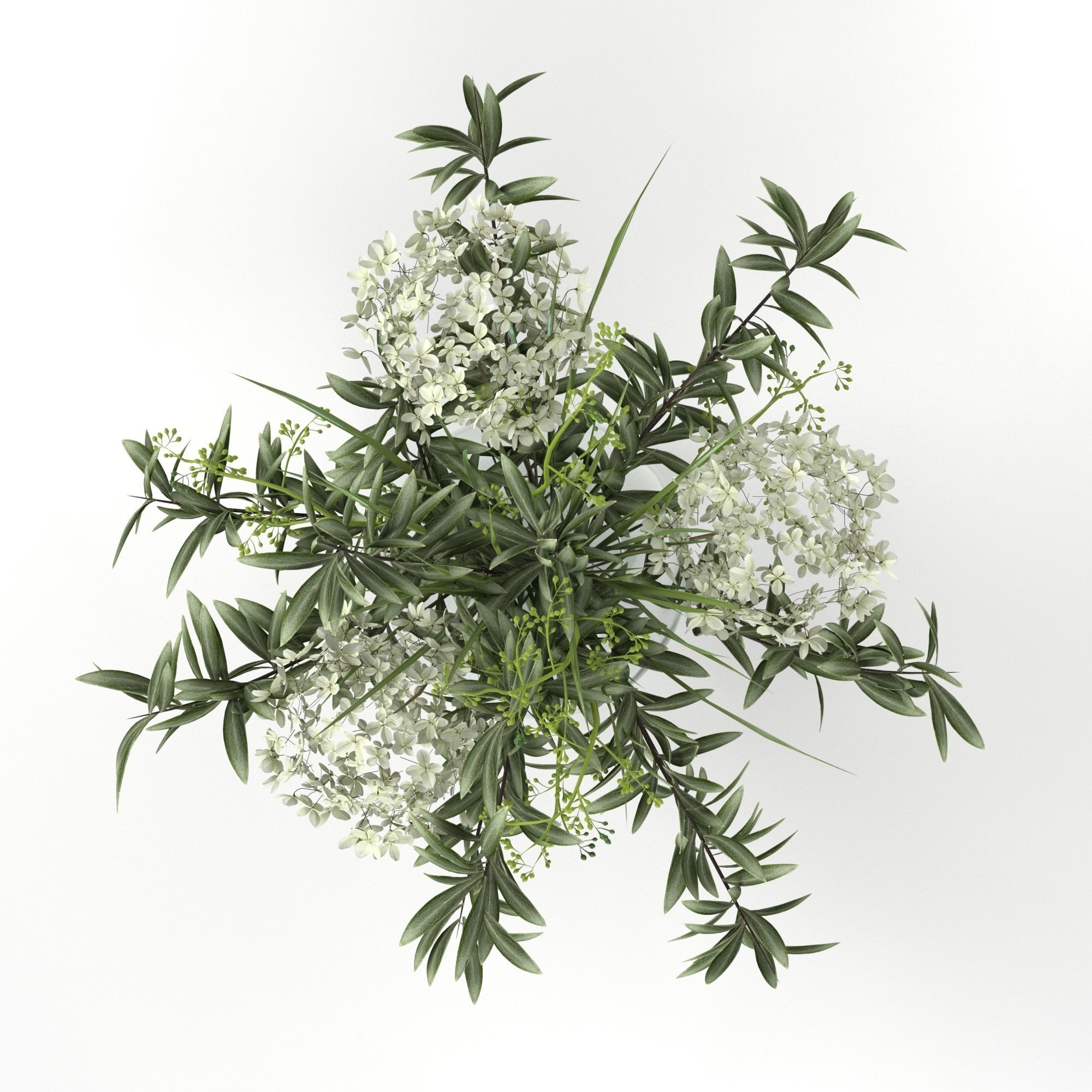 Bouquet of hydrangea olive branch and eucalyptus 3D model_3