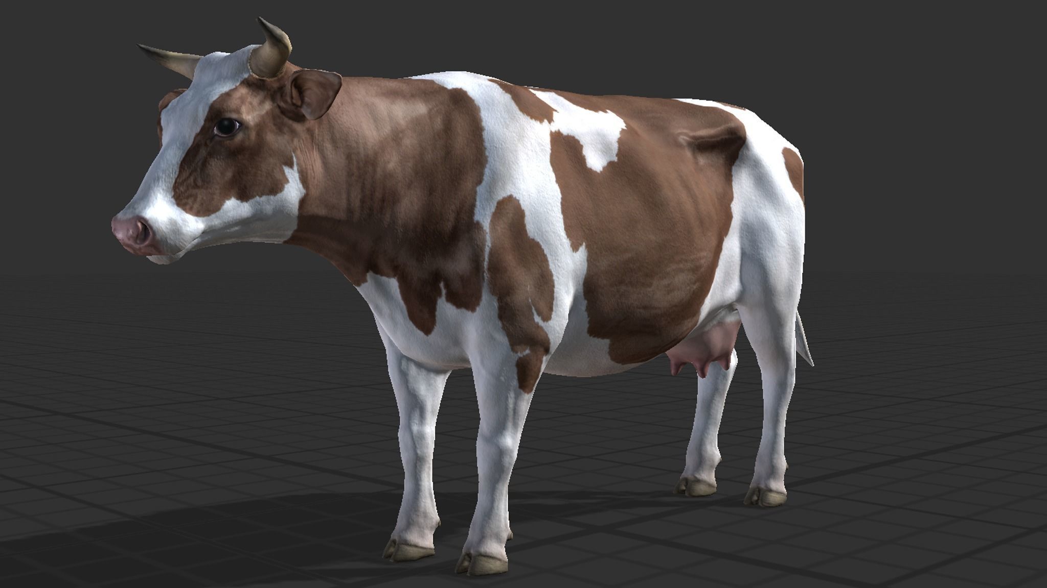 Cow family Low-poly 3D model_4