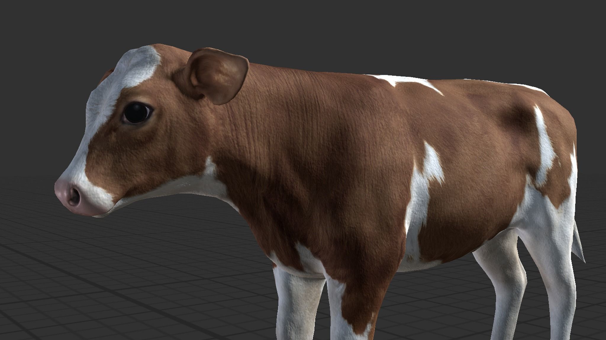 Cow family Low-poly 3D model_18