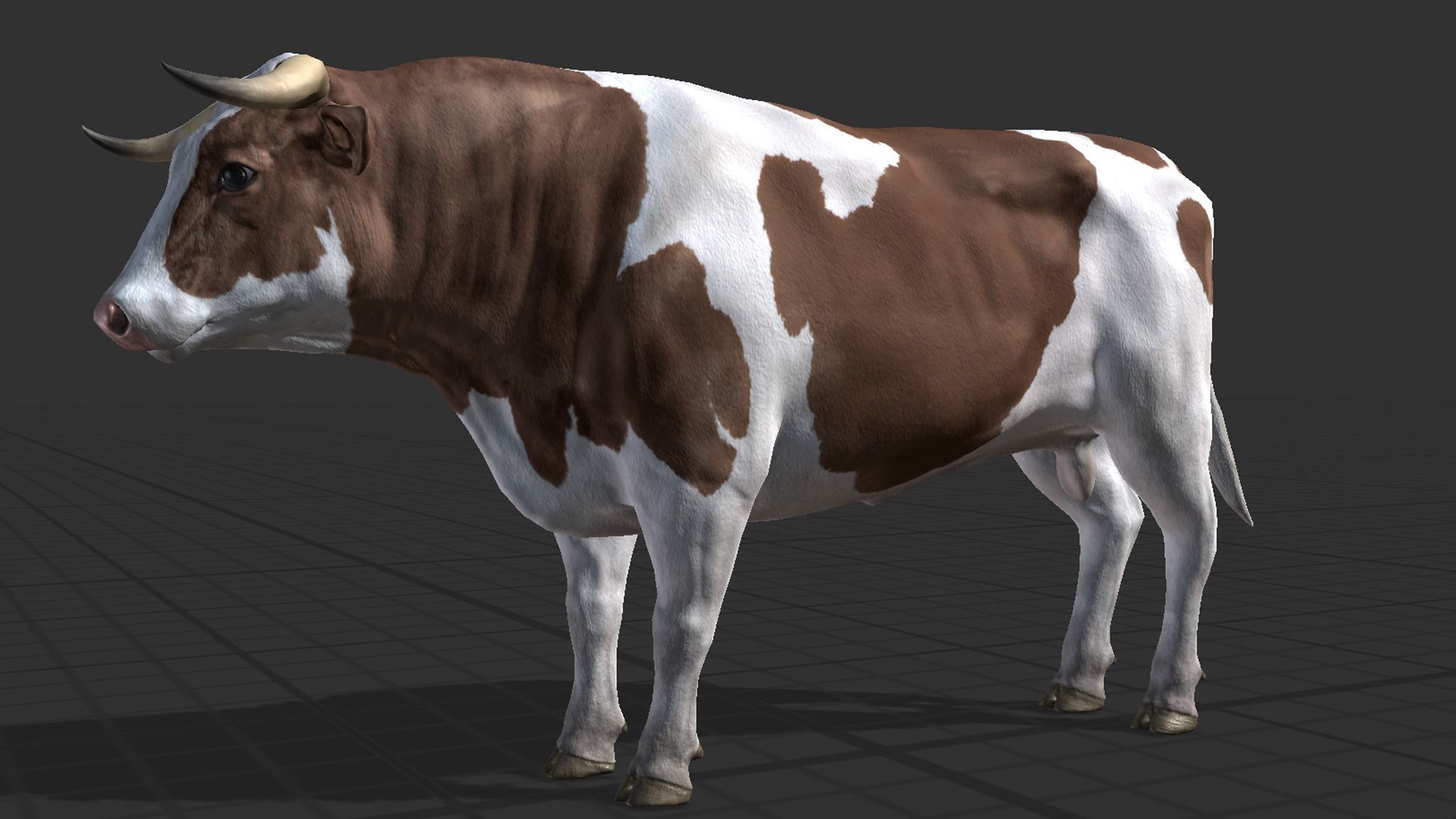 Cow family Low-poly 3D model_9