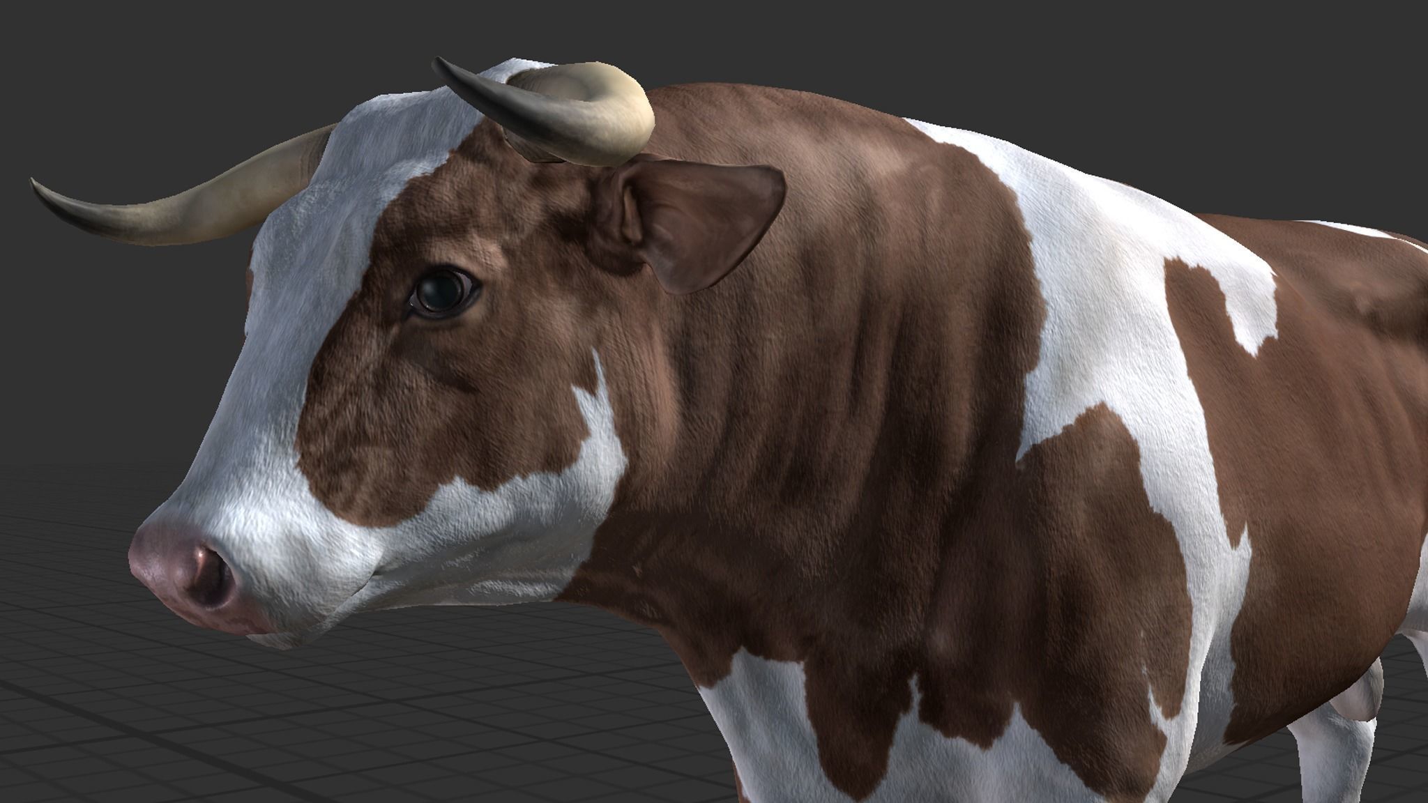 Cow family Low-poly 3D model_10