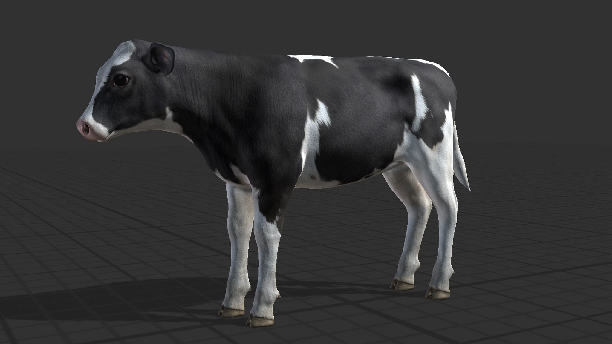 Cow family Low-poly 3D model_15