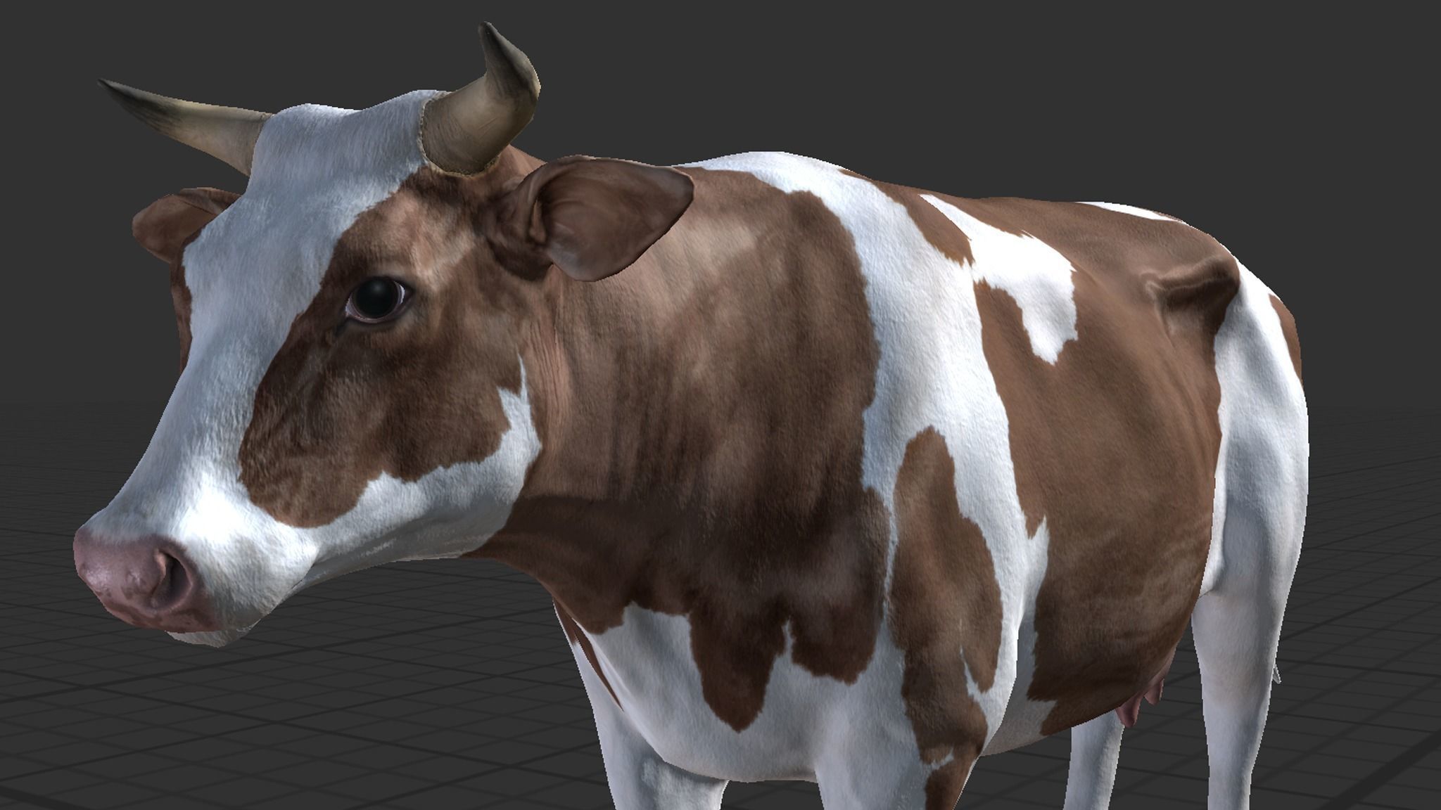 Cow family Low-poly 3D model_5