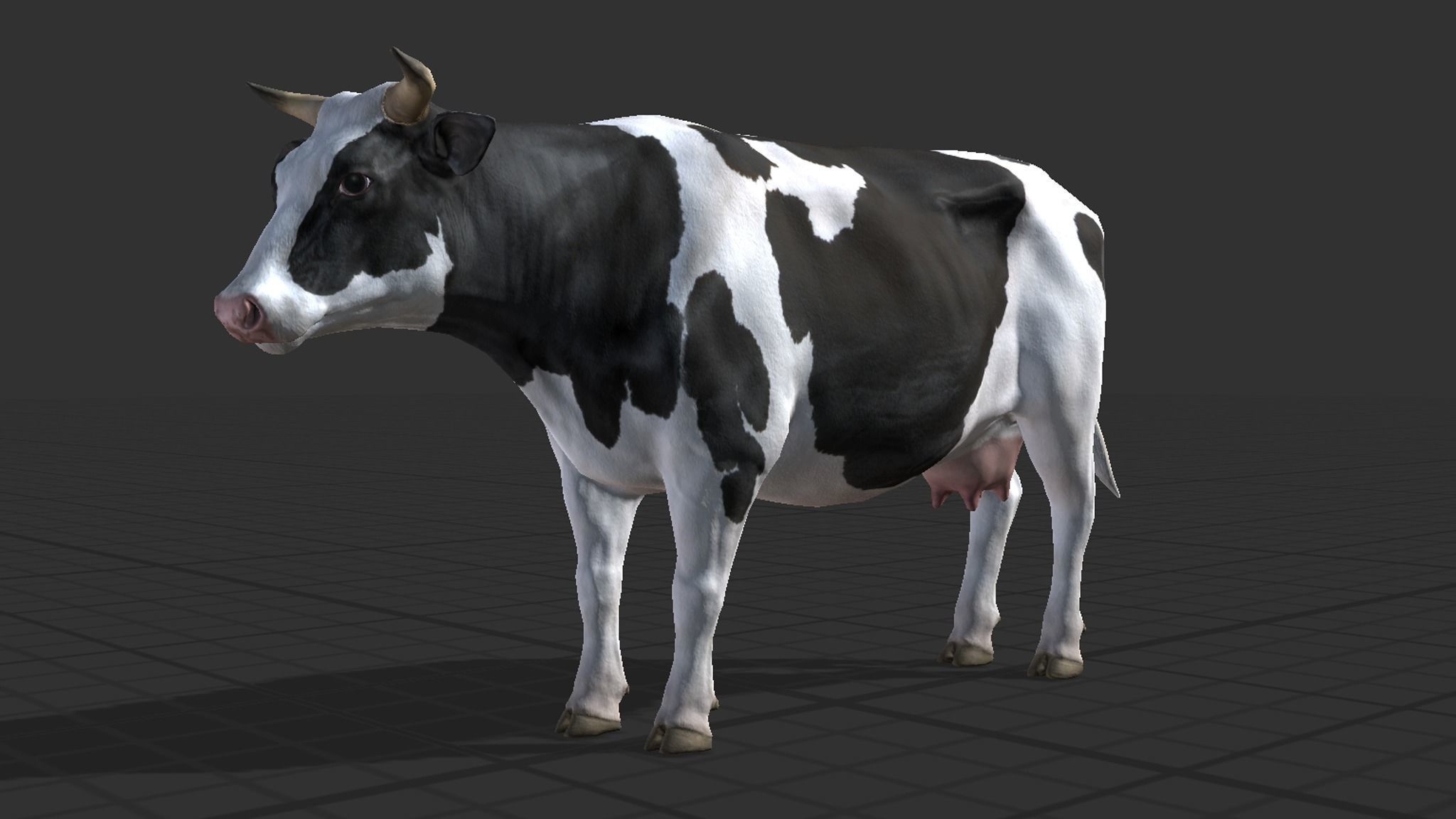 Cow family Low-poly 3D model_6