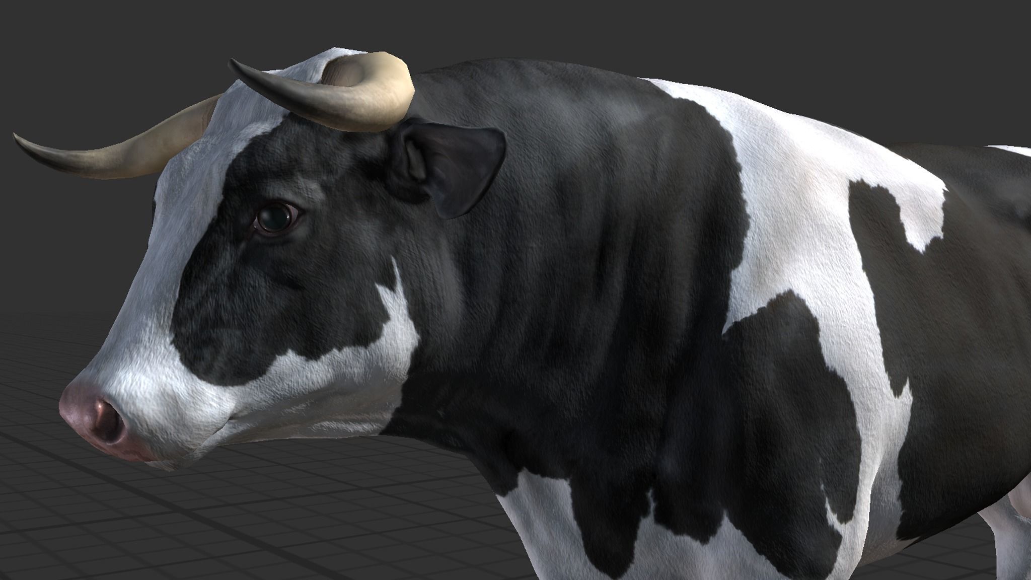 Cow family Low-poly 3D model_12
