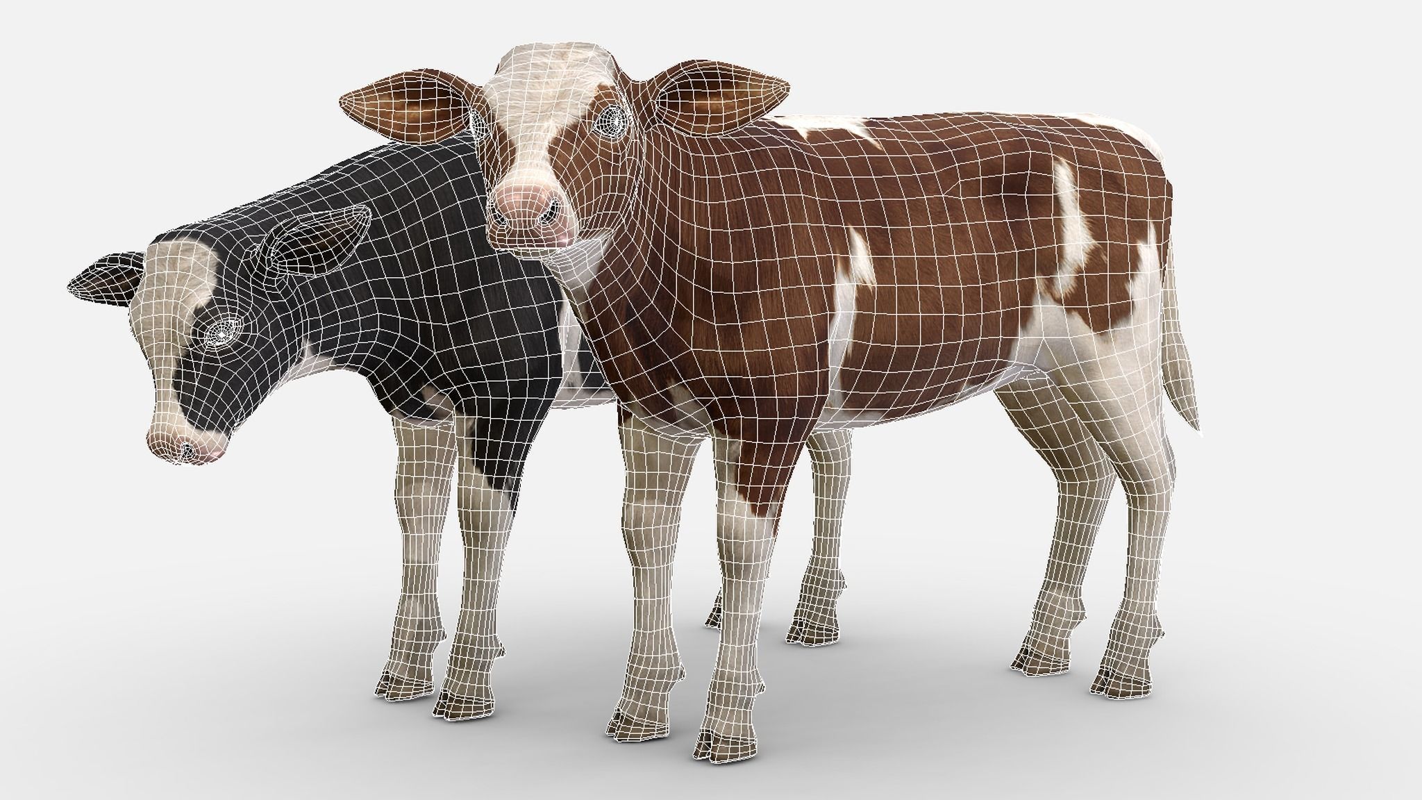 Cow family Low-poly 3D model_14