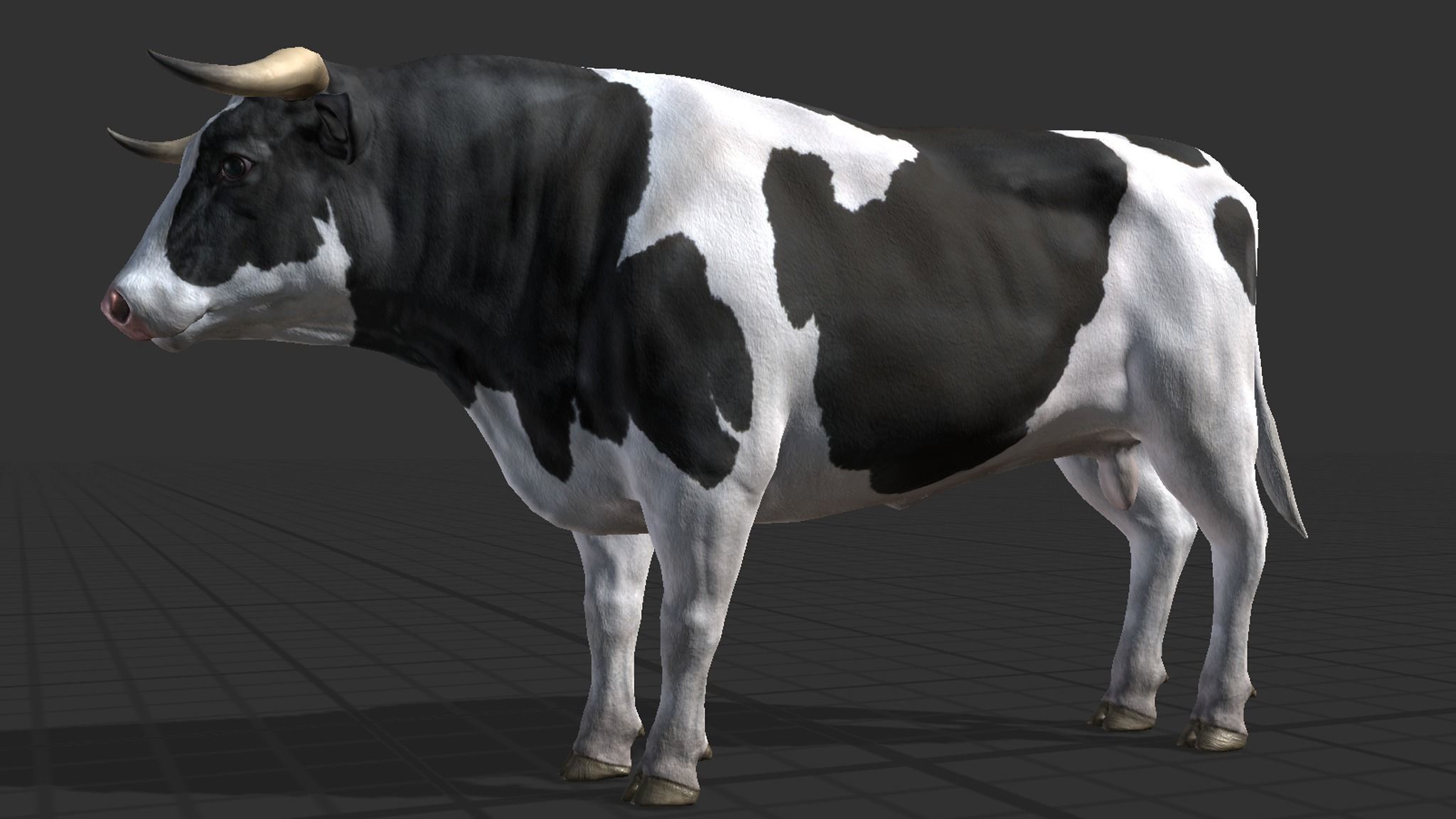 Cow family Low-poly 3D model_11