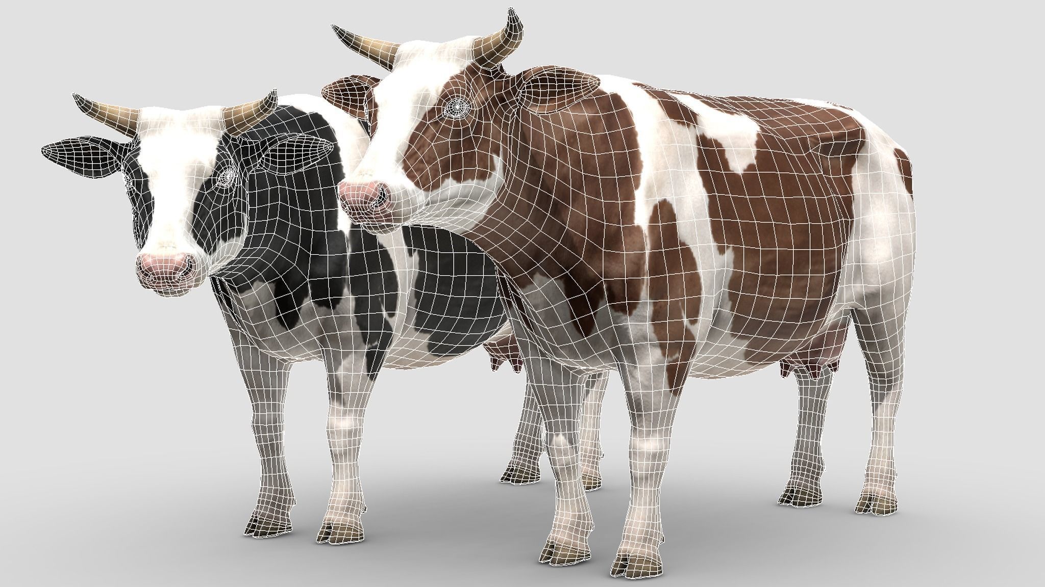 Cow family Low-poly 3D model_3