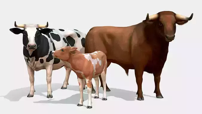 Cow family