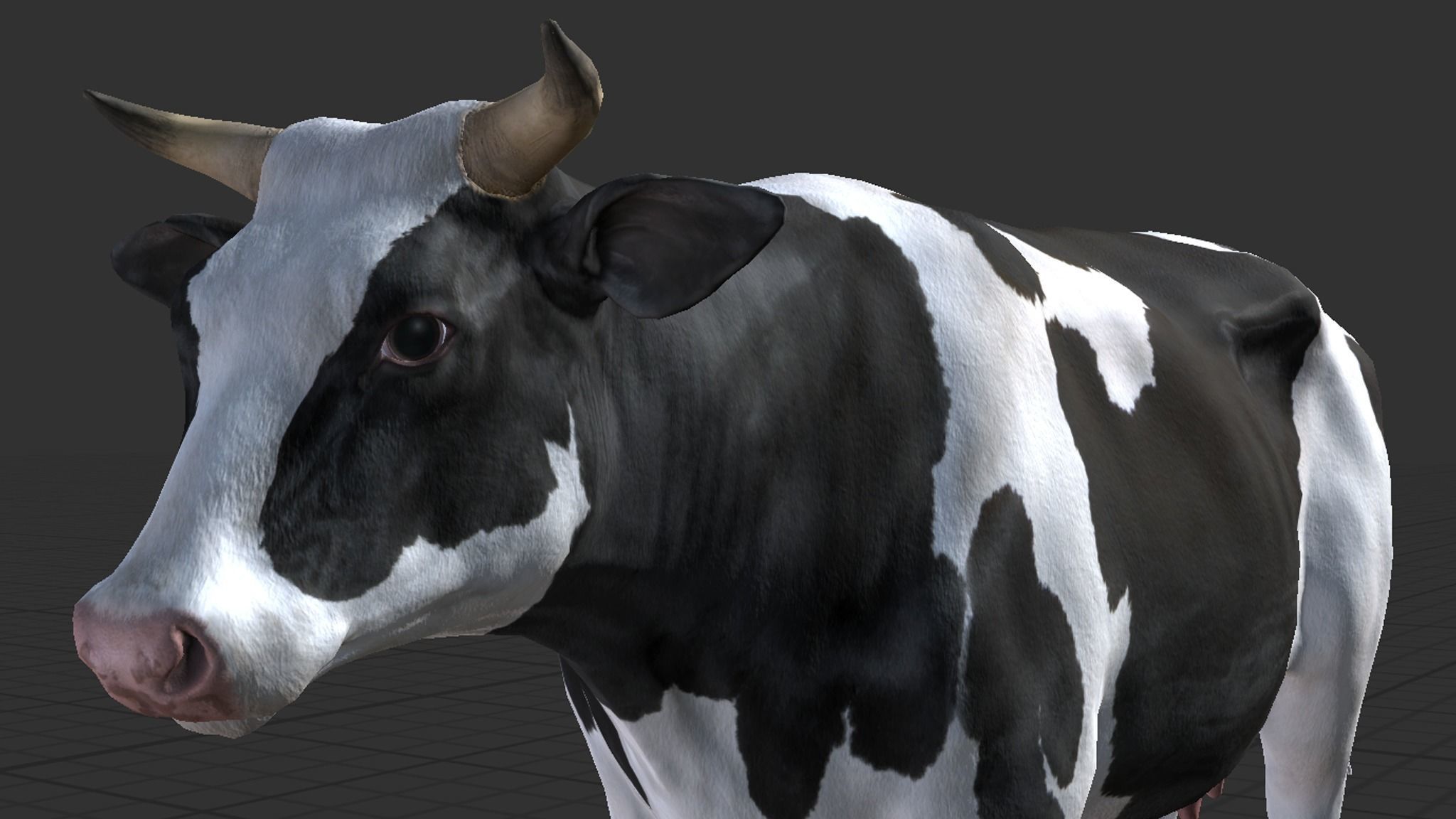 Cow family Low-poly 3D model_7