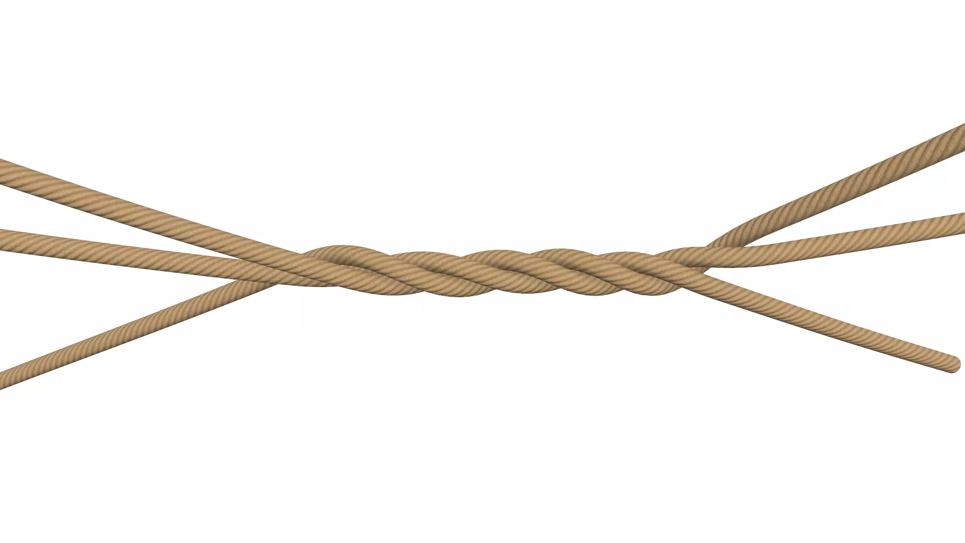 Rope Ropes 3D model_0