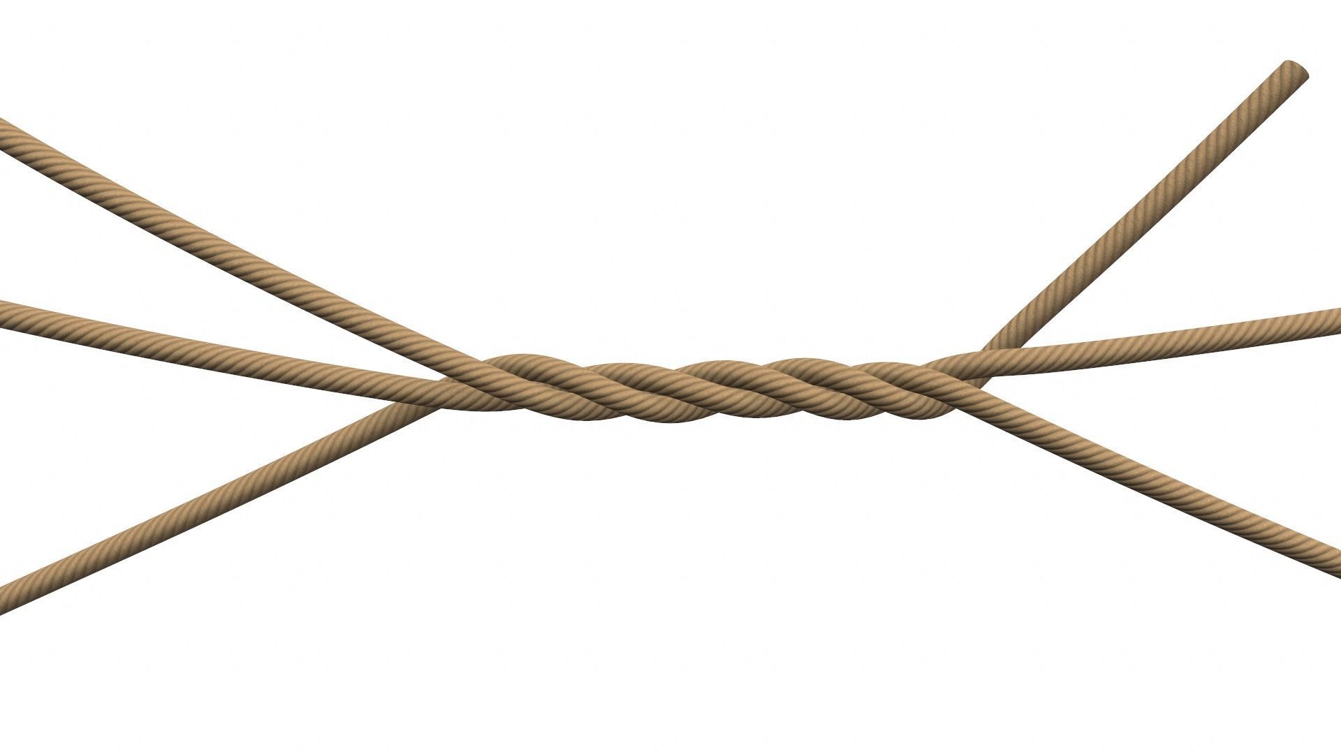 Rope Ropes 3D model_3