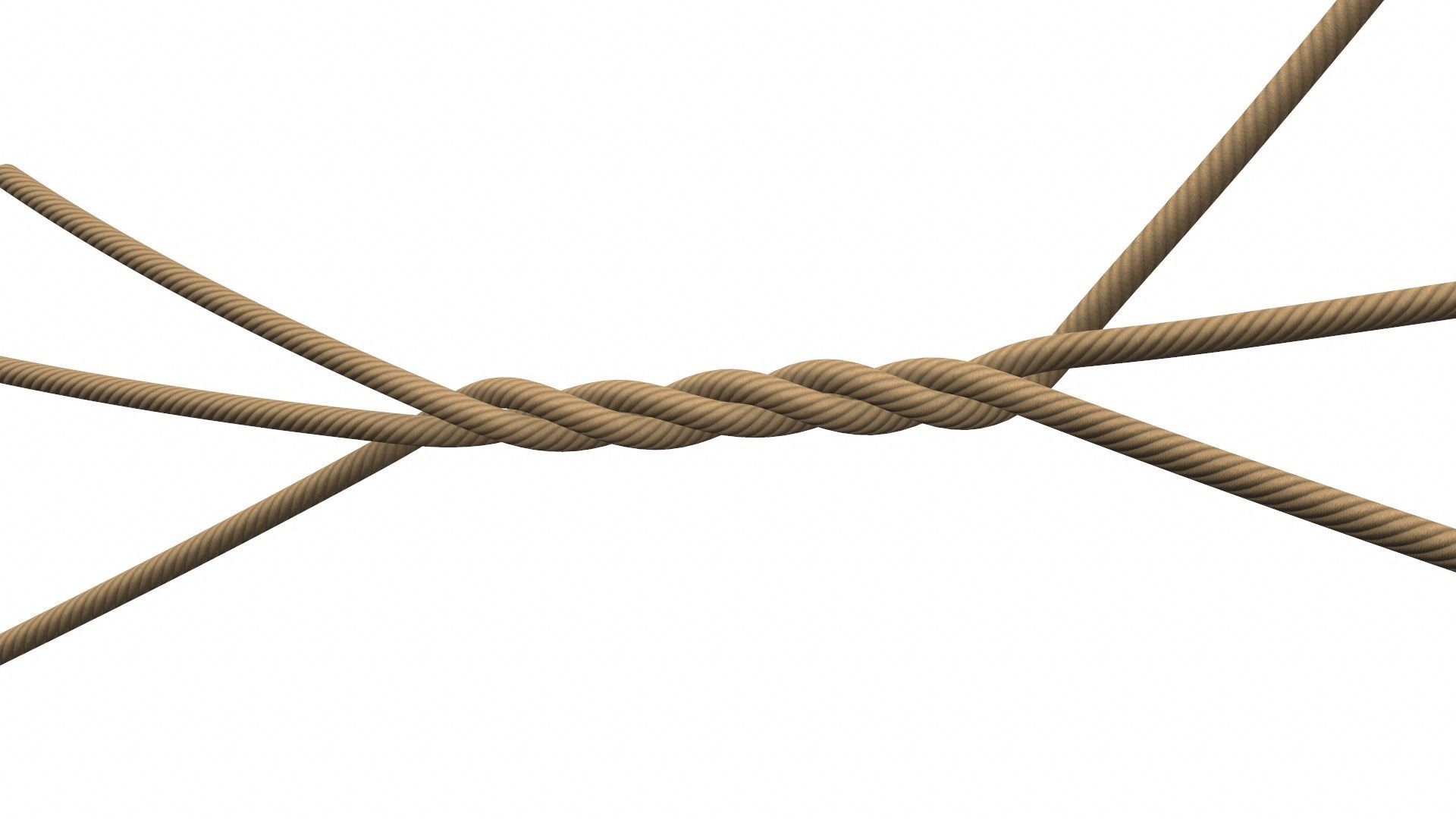 Rope Ropes 3D model_5