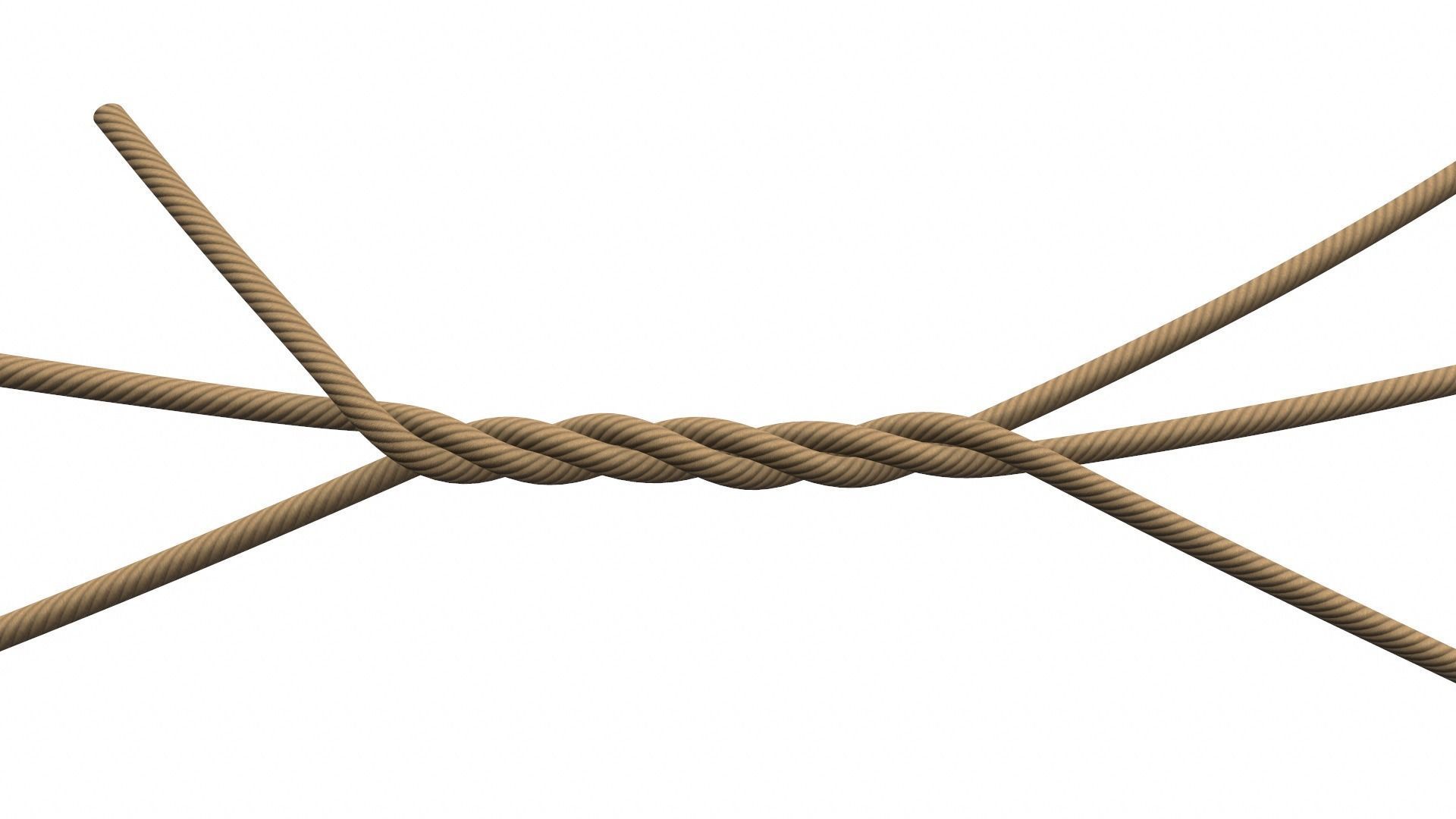 Rope Ropes 3D model_2
