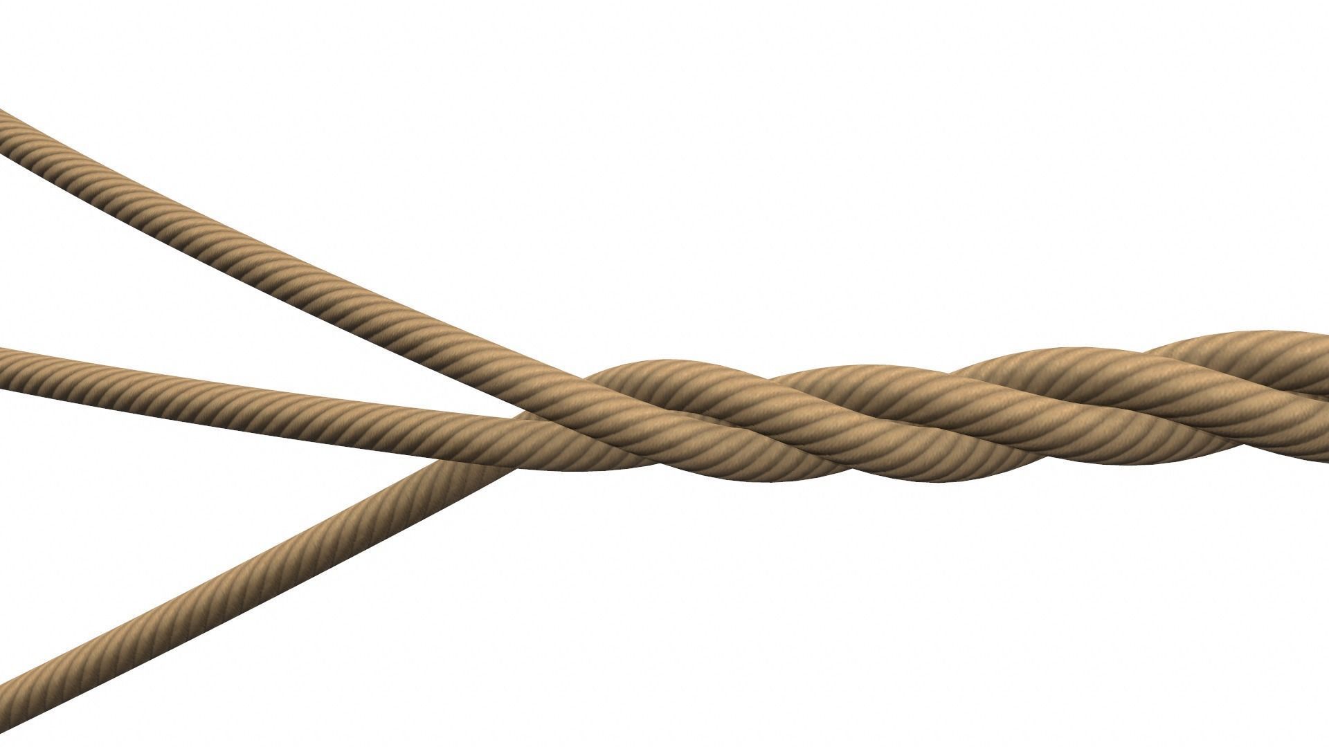 Rope Ropes 3D model_6