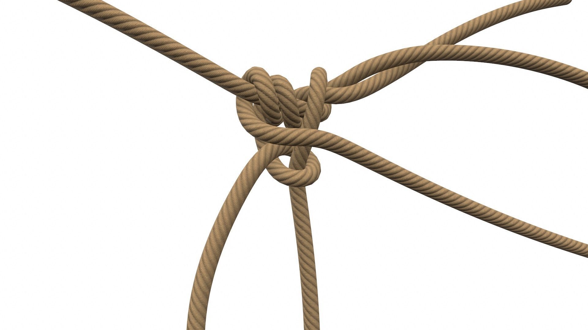 Rope Knot 3D model_4