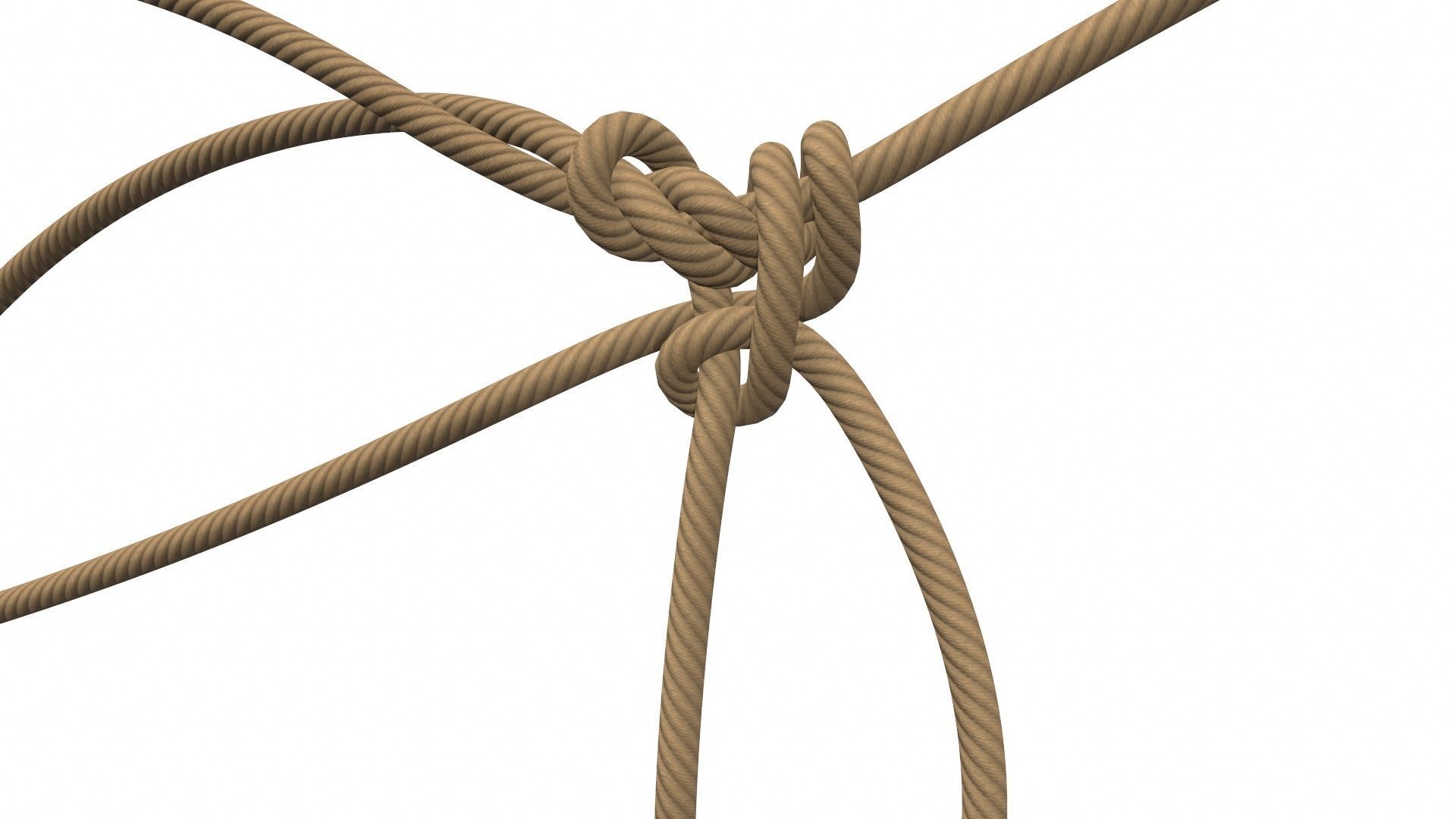 Rope Knot 3D model_5