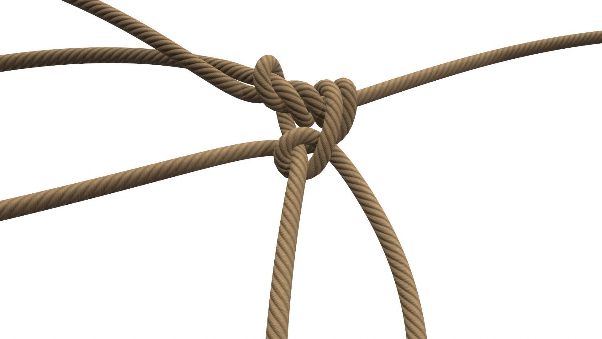 Rope Knot 3D model_6