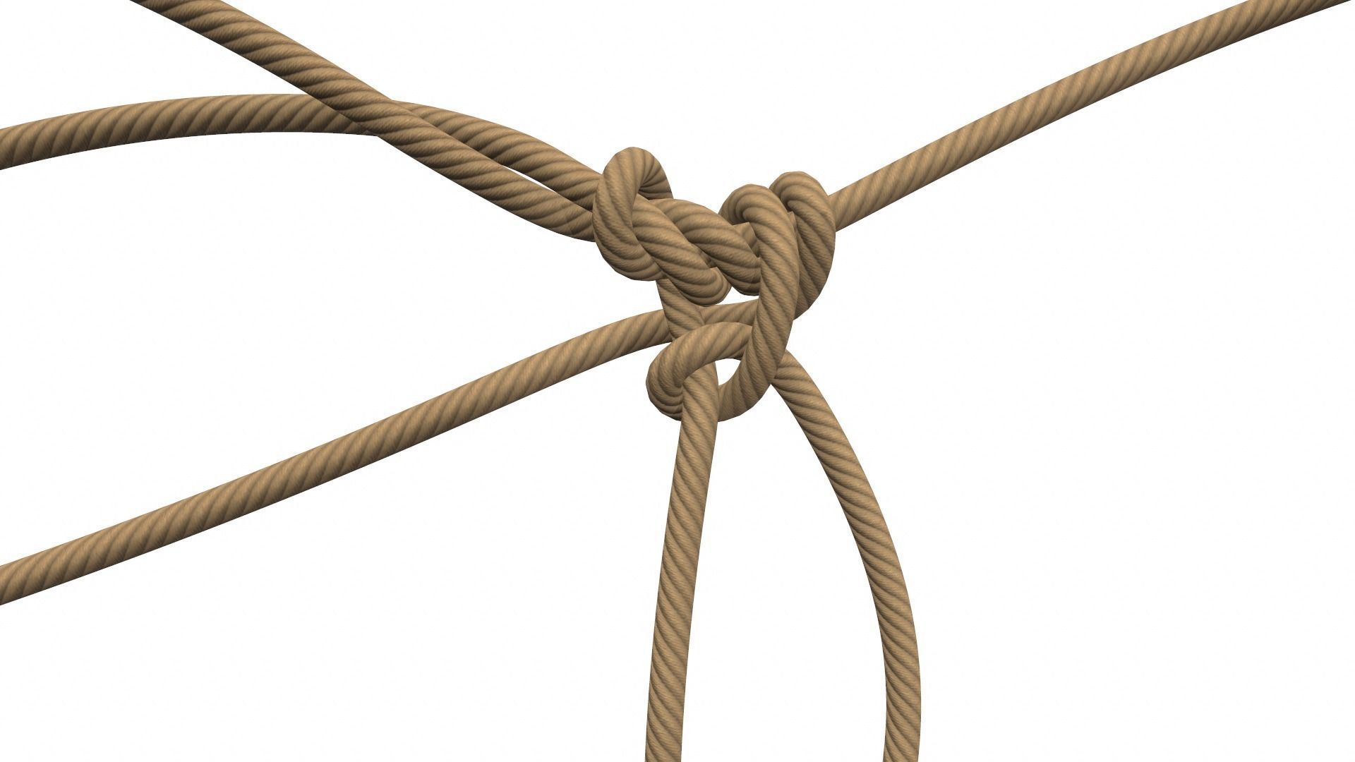 Rope Knot 3D model_3