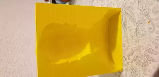 optical illusion Ataturk