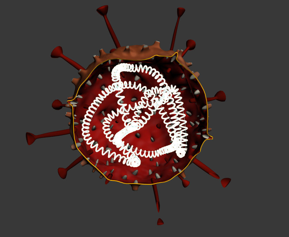 Virus coronavirus Free 3D model_4