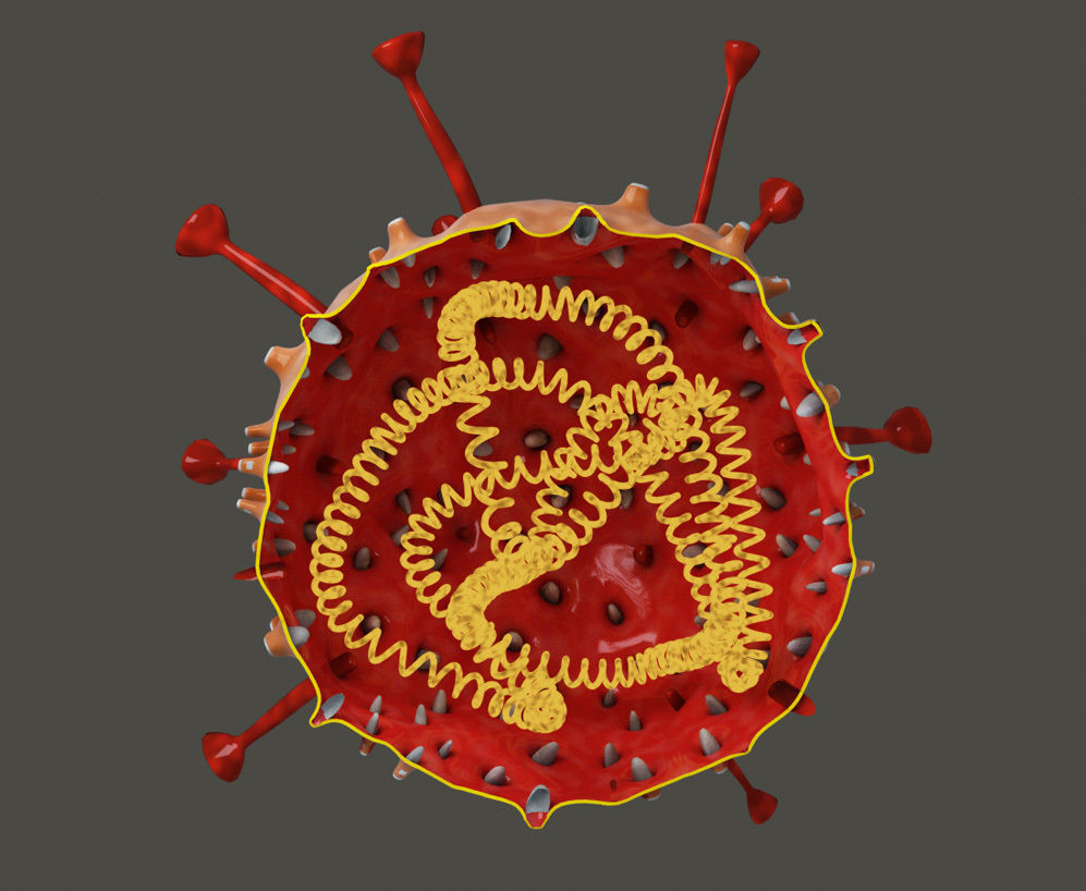 Virus coronavirus Free 3D model_2